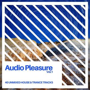 Audio Pleasure Vol.1
