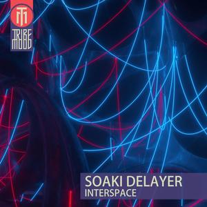 Interspace (Extended Version)