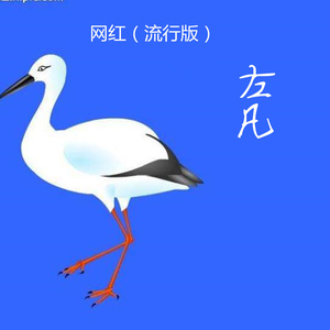 网红（流行版）