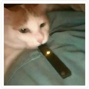 THAT BIT CHEATED (Explicit)