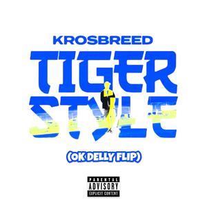 TIGER STYLE FREESTYLE (OK DELLY FLIP) (Explicit)