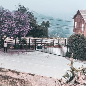 Got it Bad (feat. Mavrik Point & DomoMajor) (Explicit)