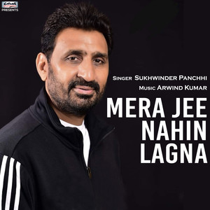 Mera Jee Nahin Lagna - Single