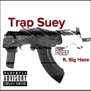 Trap Suey (feat. Big Haze) (Explicit)