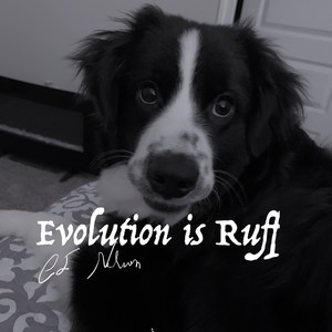 Evolution