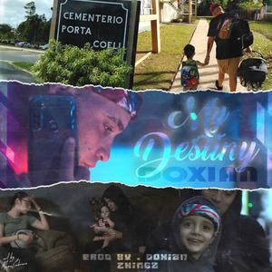My Destiny (Explicit)