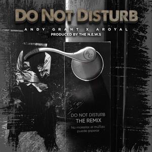 Do Not Disturb (feat. Aroyal) [The Remix]