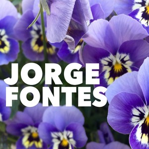 Jorge Fontes