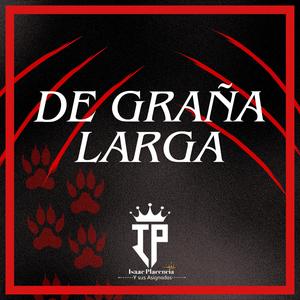 De greña larga
