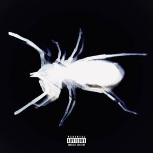 low (Explicit)