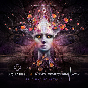 True Hallucinations (Original Mix)
