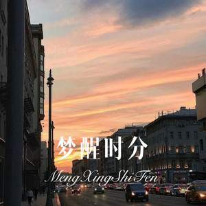 梦里梦外都是你 (DJ版)