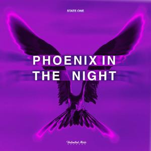 Phoenix In The Night