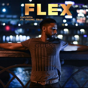 Flex (Explicit)