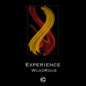 Experience