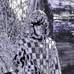 nadie podrá entenderte