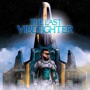 THE LAST VIBEFIGHTER