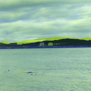 Everybody (Rave all Night)