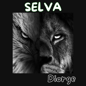 SELVA (Explicit)