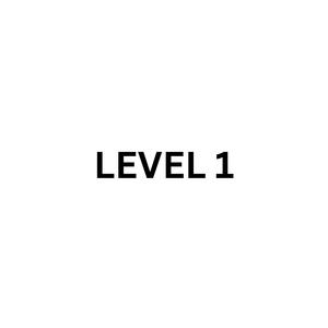 LEVEL 1