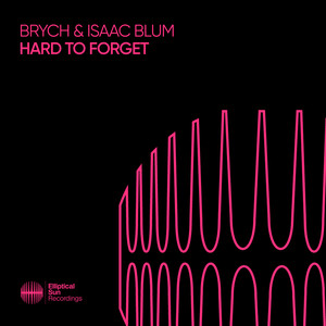 Hard To Forget (Extended Mix)