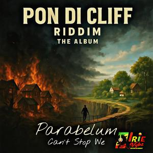 Can't Stop We (feat. Parabelum) (Explicit)