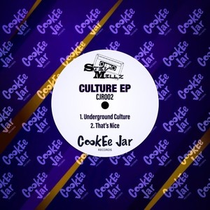 That's Nice (Original Mix)