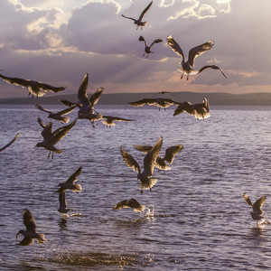 重逢在时间的尽头