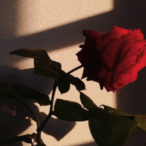 Queen II(Interlude) (Explicit)