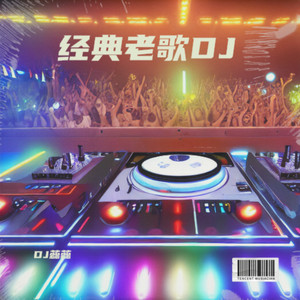 来生缘分 (DJ蕊蕊 remix)