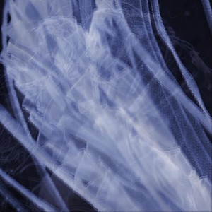 Viscosity Admixture (feat. Ash, Nerve Tower, Orteus, Mihai & Eugenesleep)