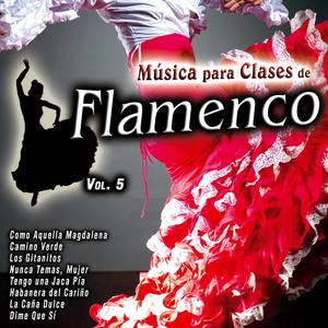 Música para Clases de Flamenco Vol. 5