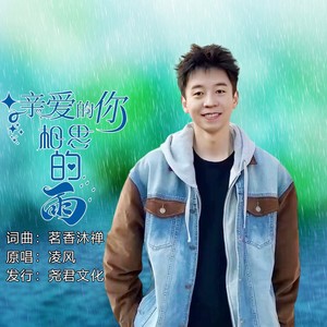 亲爱的你相思的雨 (伴奏)