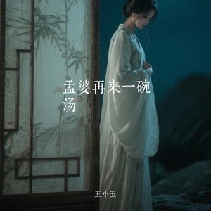 孟婆再来一碗汤-王小玉