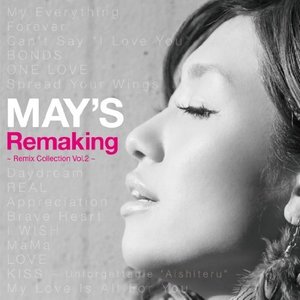 Remaking ~Remix Collection Vol.2