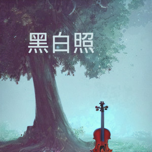 黑白照，还傻着要给你苦等
