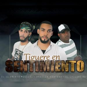 Tiguere En Sentimiento (Explicit)