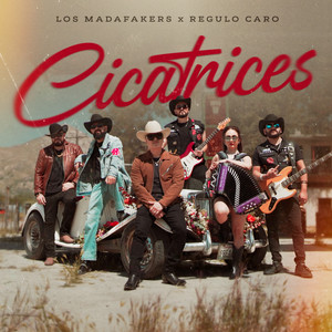Cicatrices
