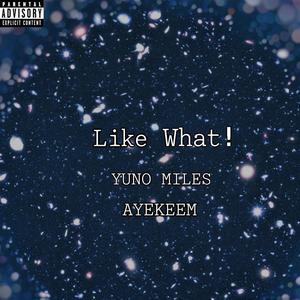 Like What! (Explicit)