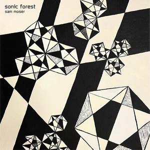 Sonic Forest