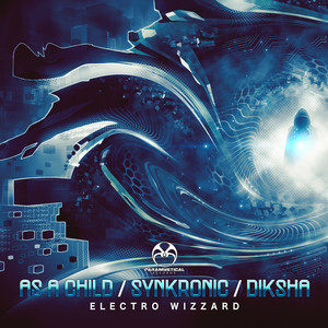 Electro Wizzard (Original Mix)