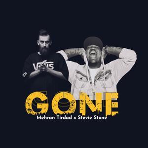 Gone (feat. Stevie Stone) [Explicit]