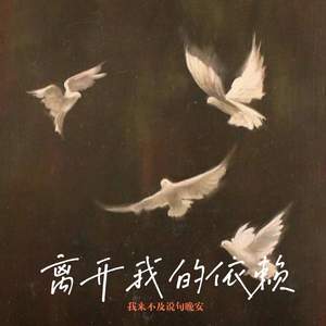 离开我的依赖 (我来不及说句晚安)-爱酱oz
