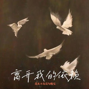 离开我的依赖 (我来不及说句晚安)