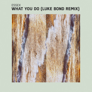 What You Do (Luke Bond Remix Extended Version|Extended Version)