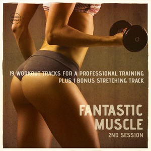 Fantastic Muscle, Vol. 2 (20 Workout Tracks For A Professional Training)