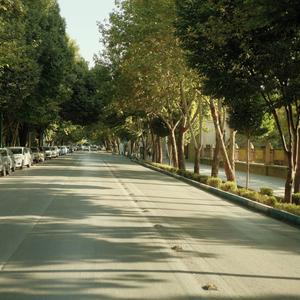 No Schedule to Follow