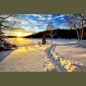 冬日，暖阳，雪景，你的发梢