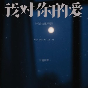 我对你的爱（何止执迷不悟）