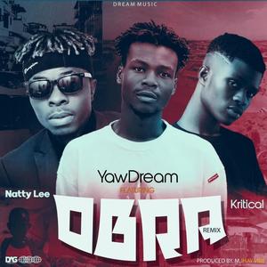 Obra (feat. Natty Lee & Kritikal) (Remix|Explicit)